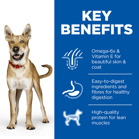 Chicken & Barley Adult Wet Dog Food