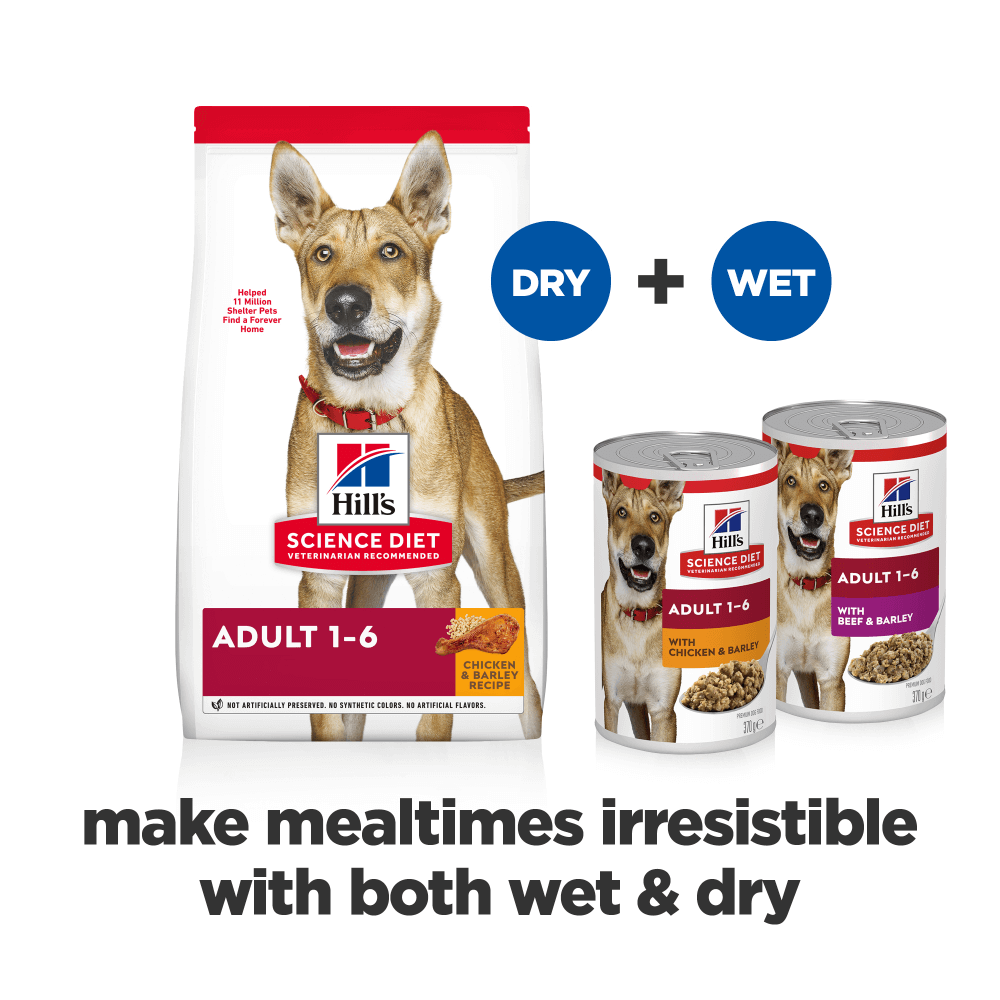 Chicken & Barley Adult Wet Dog Food