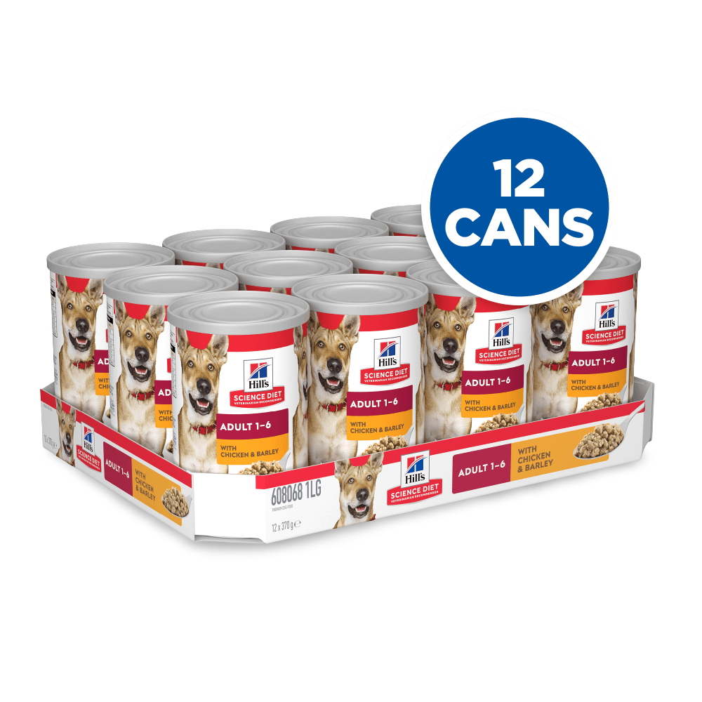 Chicken & Barley Adult Wet Dog Food