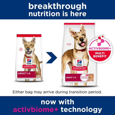 Chicken & Barley Recipe Adult Dry Dog Food