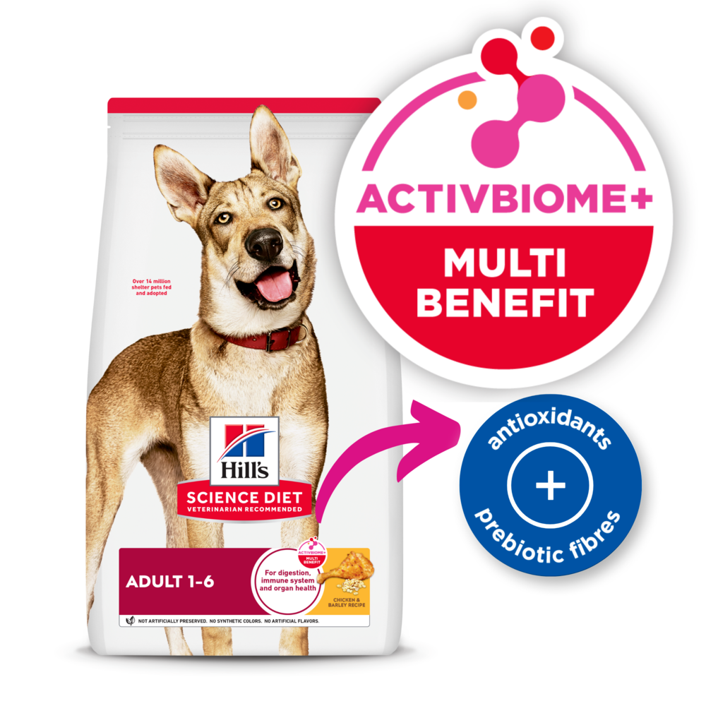 Chicken & Barley Recipe Adult Dry Dog Food