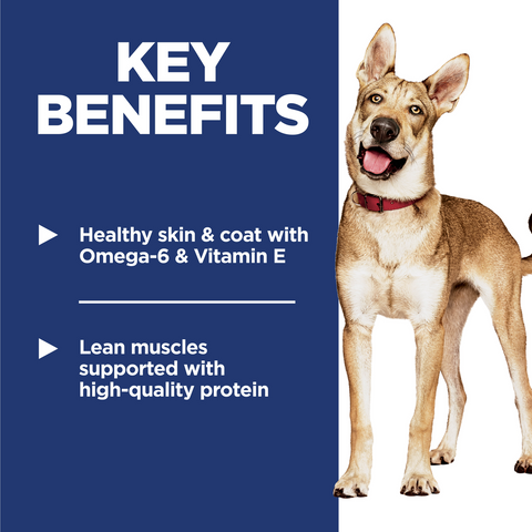 Chicken & Barley Recipe Adult Dry Dog Food