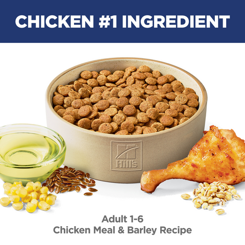 Chicken & Barley Recipe Adult Dry Dog Food
