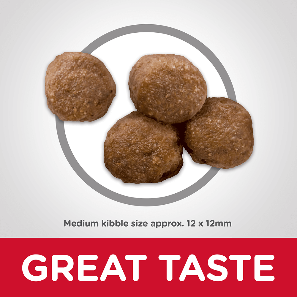 Healthy Mobility Chicken & Brown Rice Adult Dry Dog Food