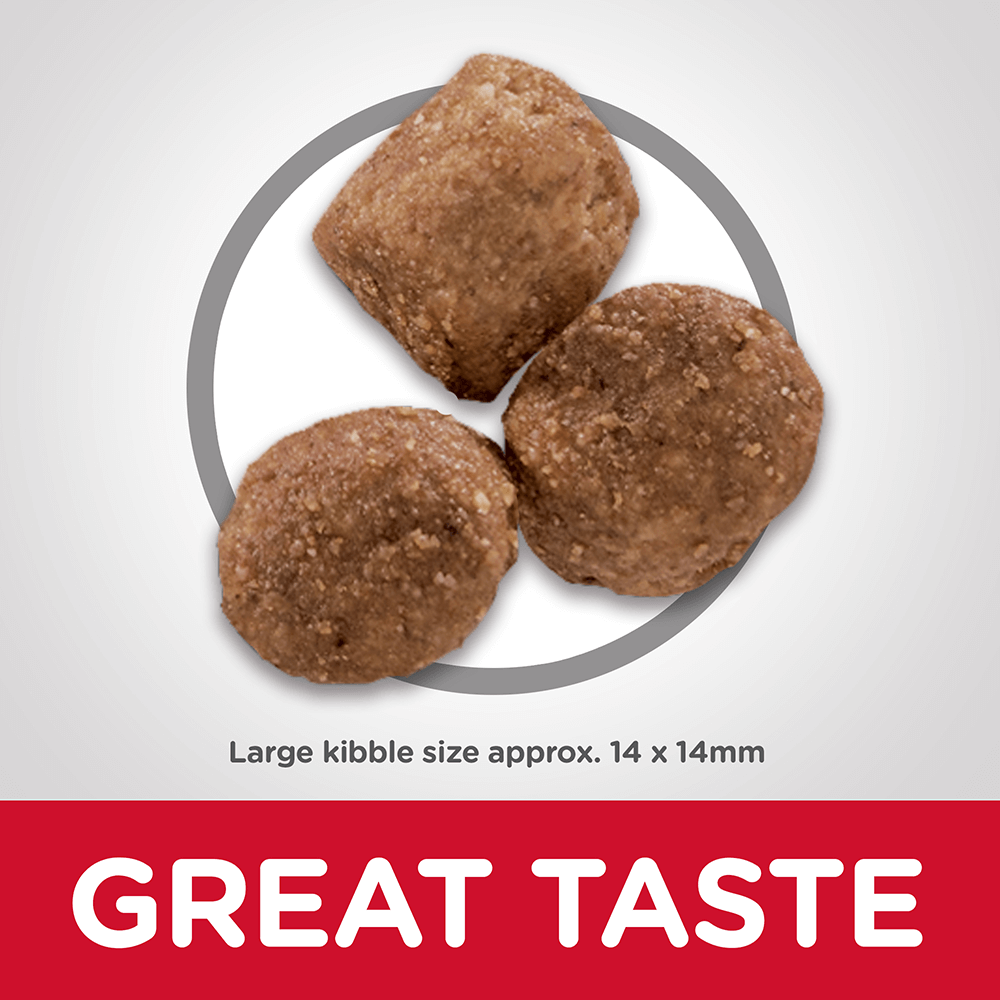 Healthy Mobility Large Breed Adult Dry Dog Food