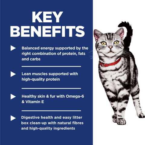 Adult Indoor Dry Cat Food