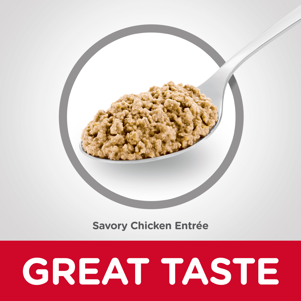 Adult Indoor Savory Chicken Entree Canned Cat Food