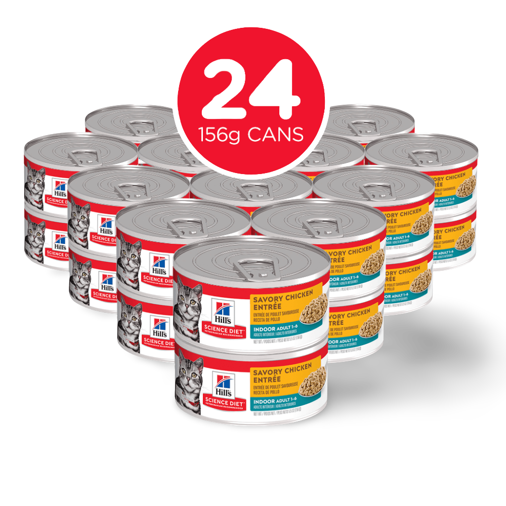 Adult Indoor Savory Chicken Entree Canned Cat Food