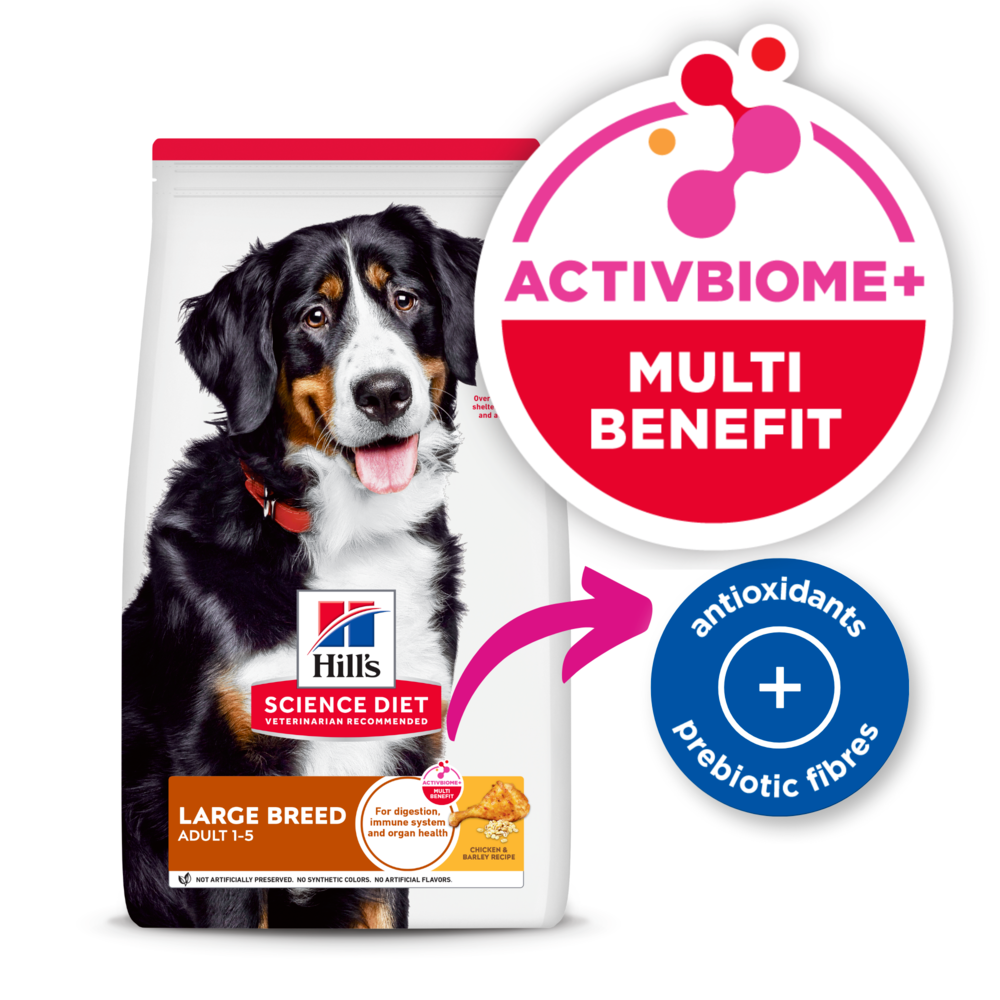 Chicken & Barley Large Breed Adult Dry Dog Food