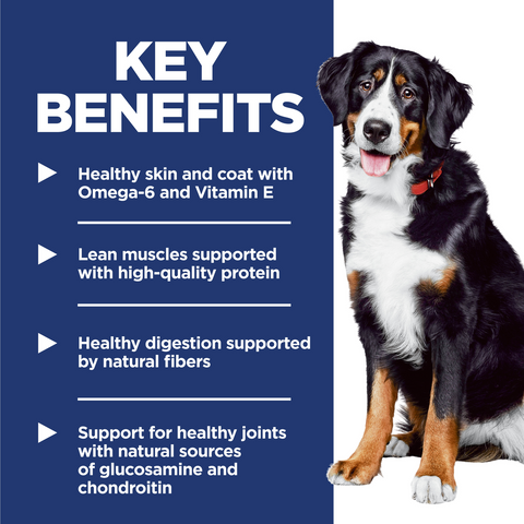 Chicken & Barley Large Breed Adult Dry Dog Food