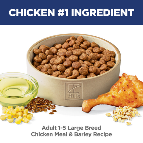 Chicken & Barley Large Breed Adult Dry Dog Food