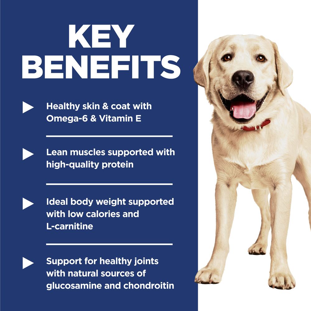 Light Chicken & Barley Recipe Large Breed Adult Dry Dog Food