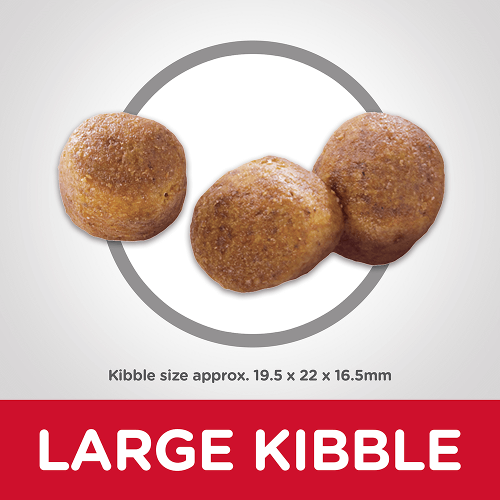 Oral Care Chicken Recipe Adult Dry Dog Food