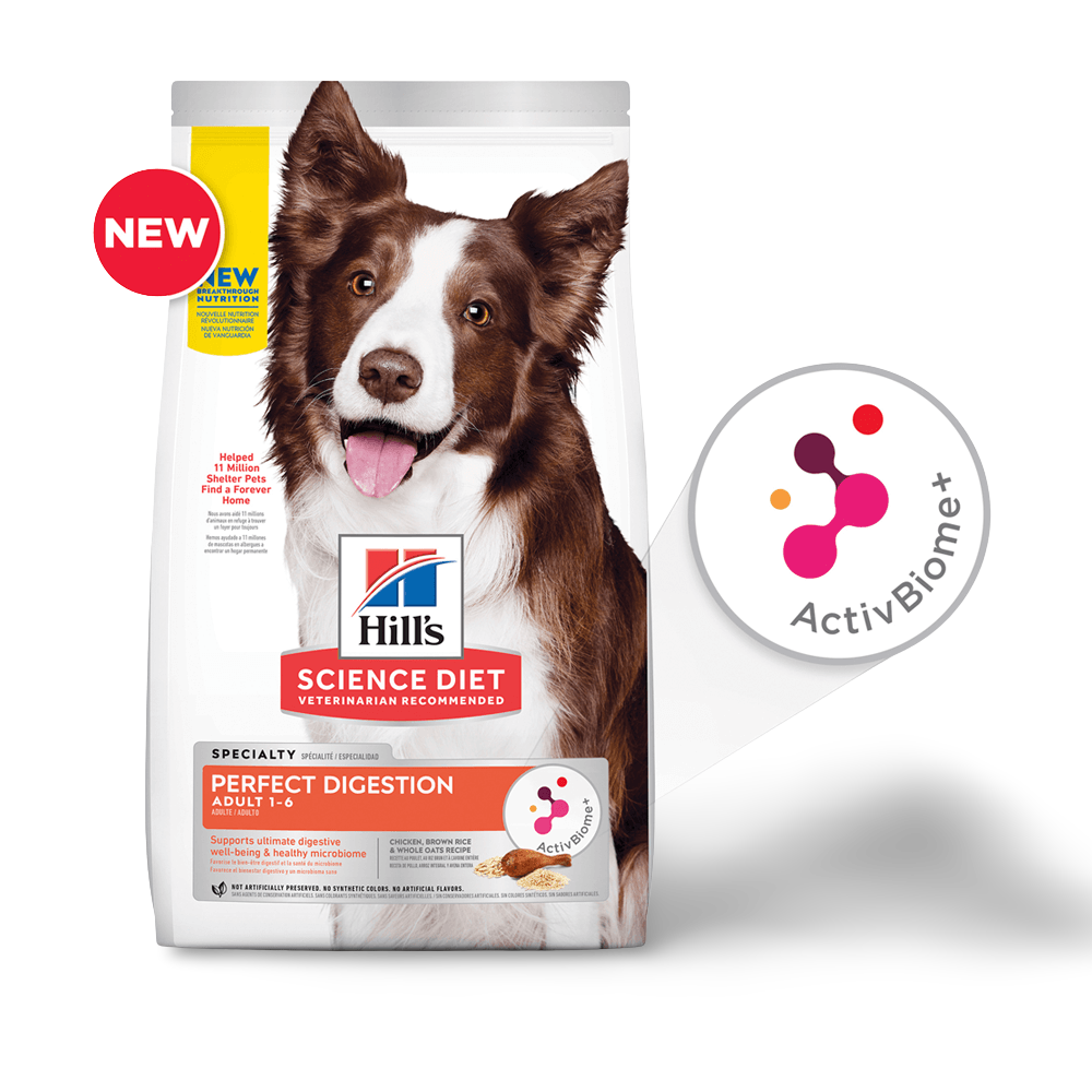 Perfect Digestion Chicken Barley & Oats Adult Dry Dog Food