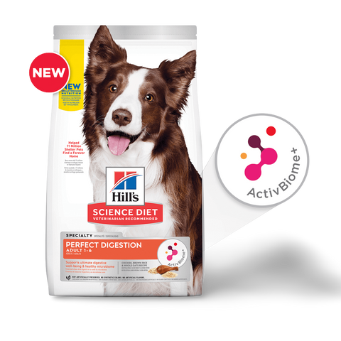Perfect Digestion Chicken Barley & Oats Adult Dry Dog Food