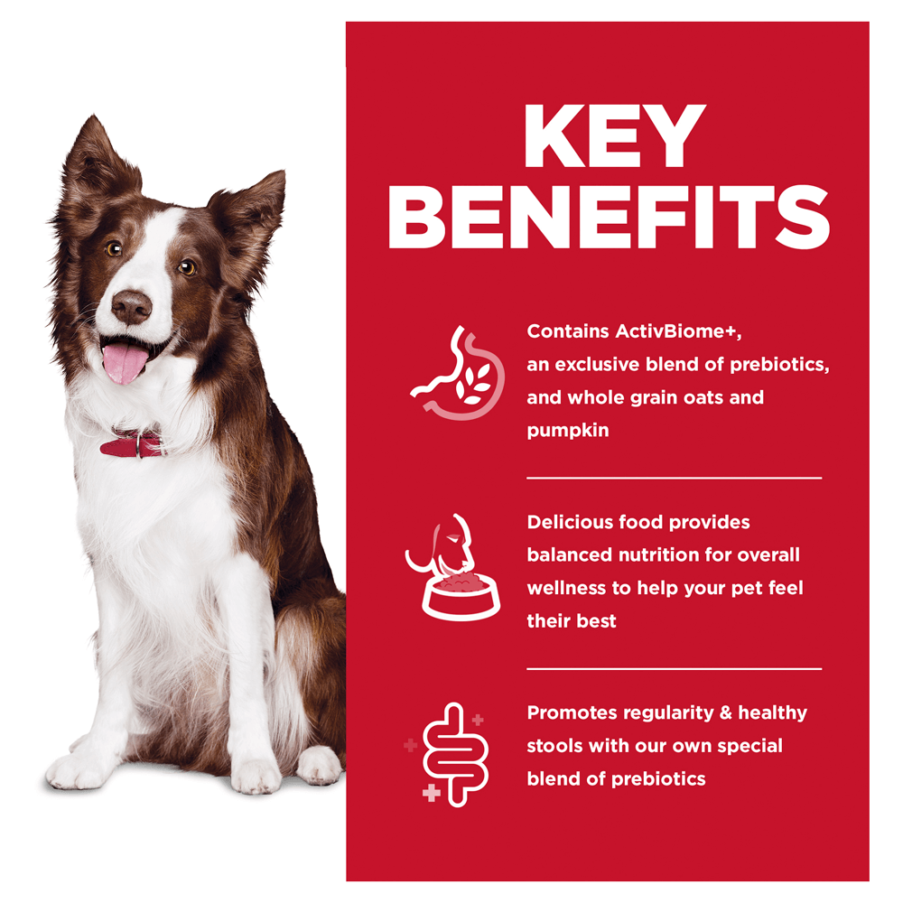 Perfect Digestion Chicken Barley & Oats Adult Dry Dog Food