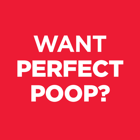 Perfect Digestion Chicken & Vegetable Adult Wet Dog Food