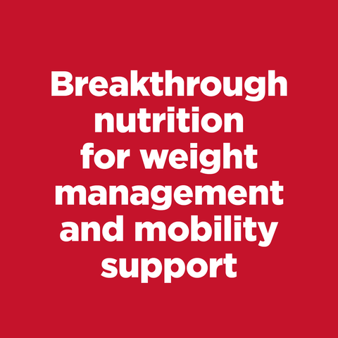 Perfect Weight Joint Support Chicken Adult Dry Dog Food