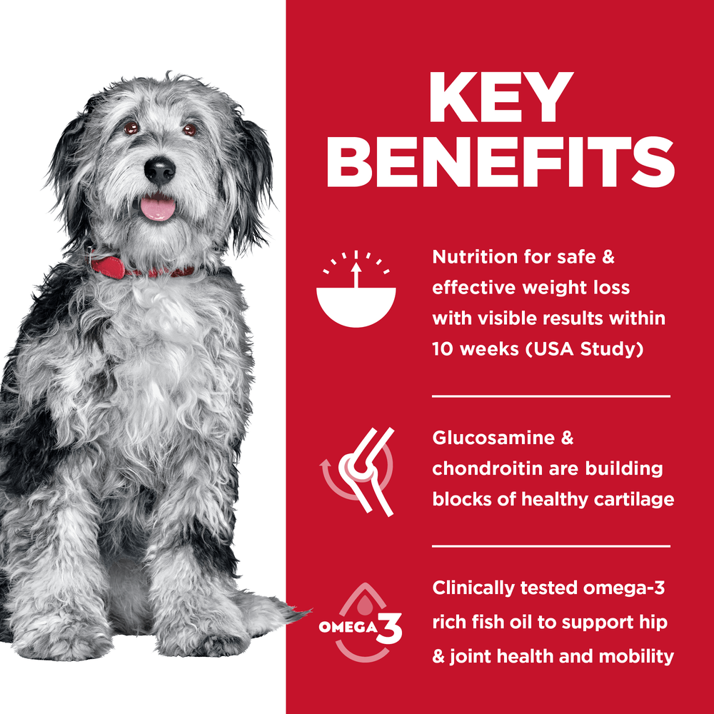 Perfect Weight Joint Support Chicken Adult Dry Dog Food