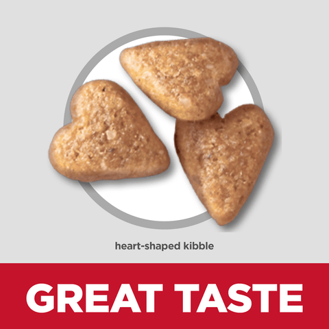 Perfect Weight Joint Support Chicken Adult Dry Dog Food