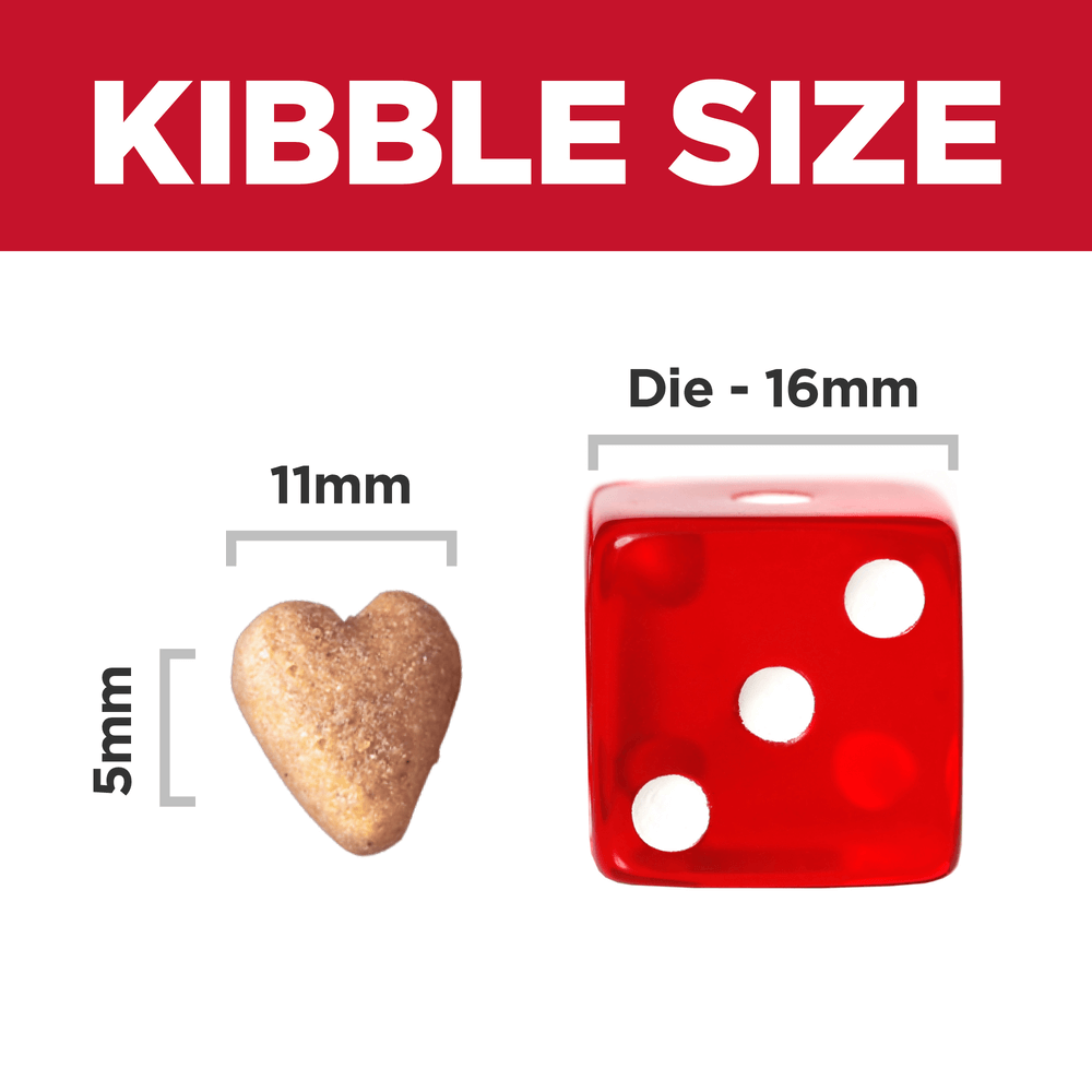 Perfect Weight Chicken Recipe Large Breed Adult Dry Dog Food