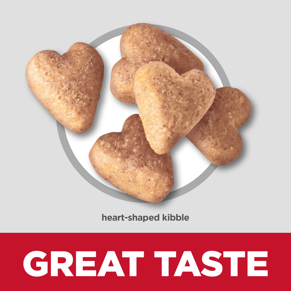 Perfect Weight Chicken Recipe Large Breed Adult Dry Dog Food