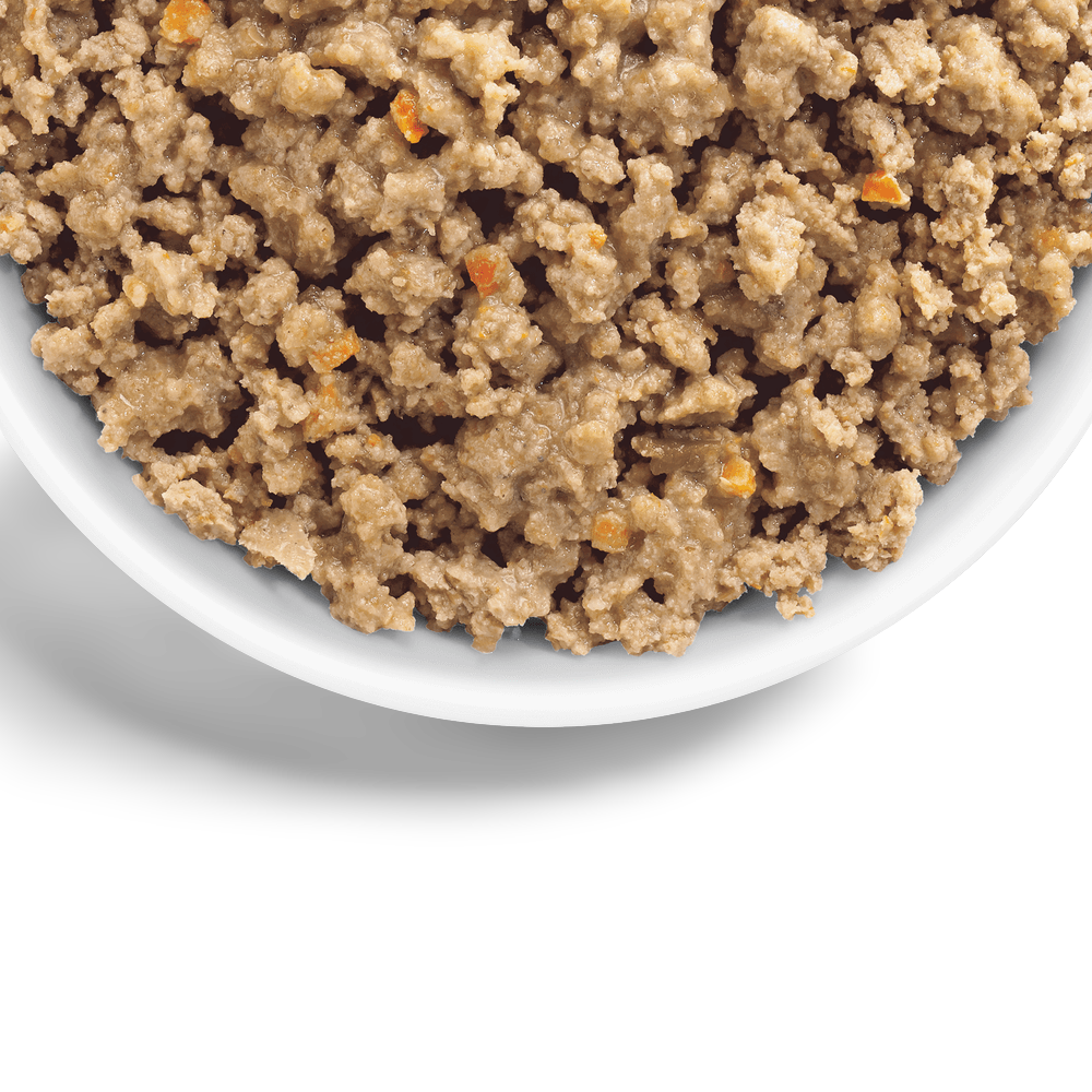 Perfect Weight Chicken Adult Wet Dog Food