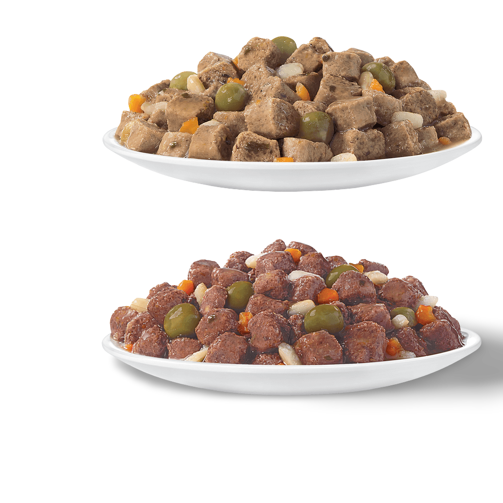 Adult Sensitive Skin And Stomach Variety Pack Cat Food Pouches