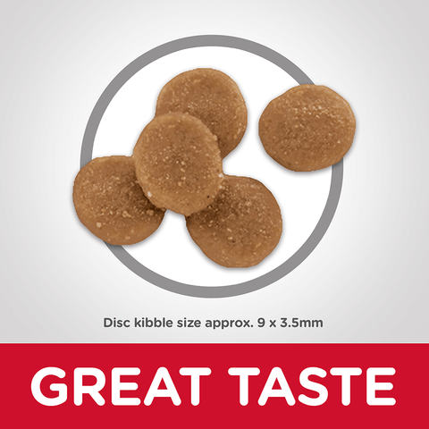 Adult Sensitive Stomach And Skin Dry Cat Food