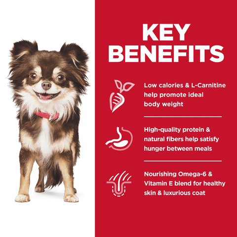 Sensitive Stomach & Skin Small Mini Adult Dry Dog Food