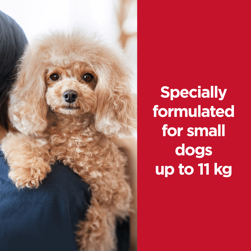 Sensitive Stomach & Skin Small Mini Adult Dry Dog Food