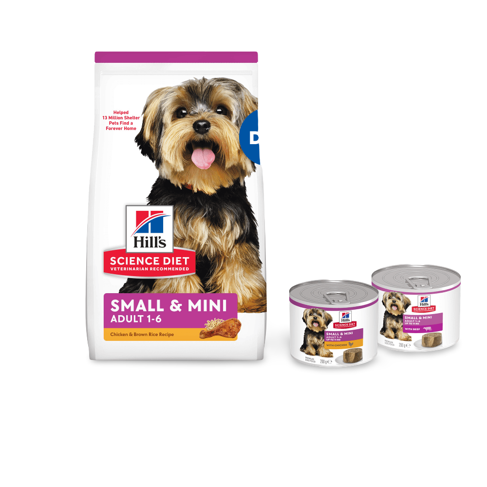Chicken Small & Mini Adult Wet Dog Food