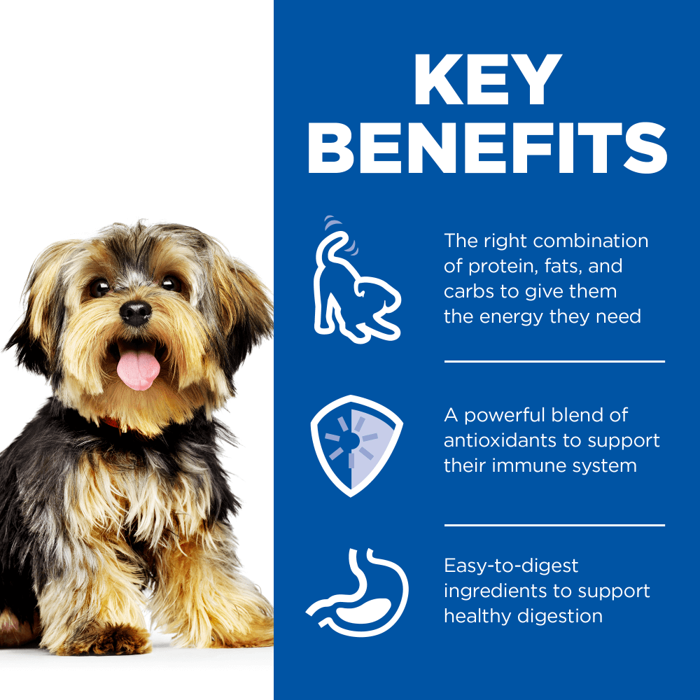 Chicken Small & Mini Adult Wet Dog Food