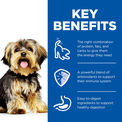 Chicken Small & Mini Adult Wet Dog Food