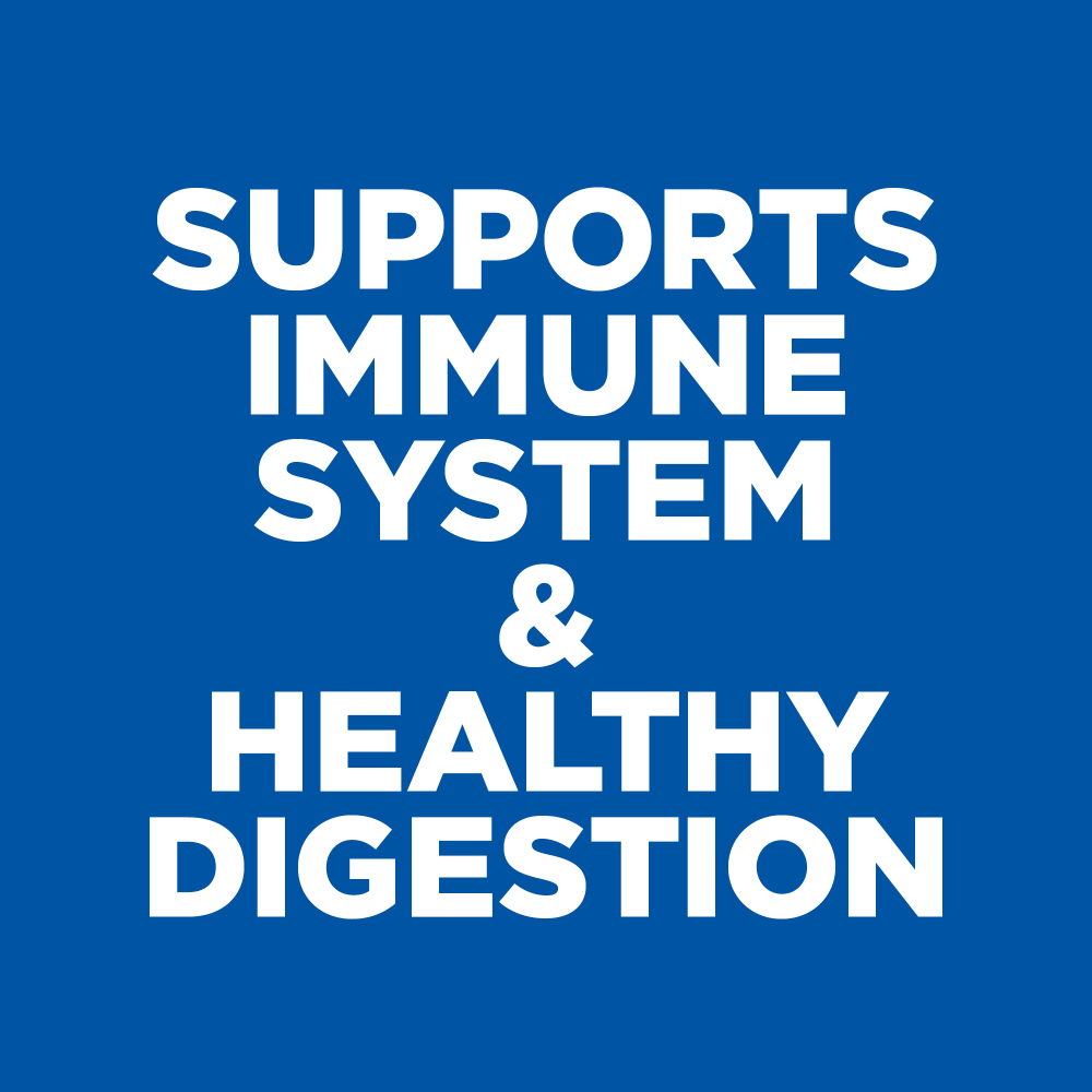 Chicken Small & Mini Adult Wet Dog Food