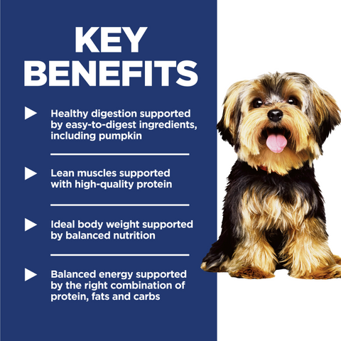 Lamb & Rice Small Mini Adult Dry Dog Food