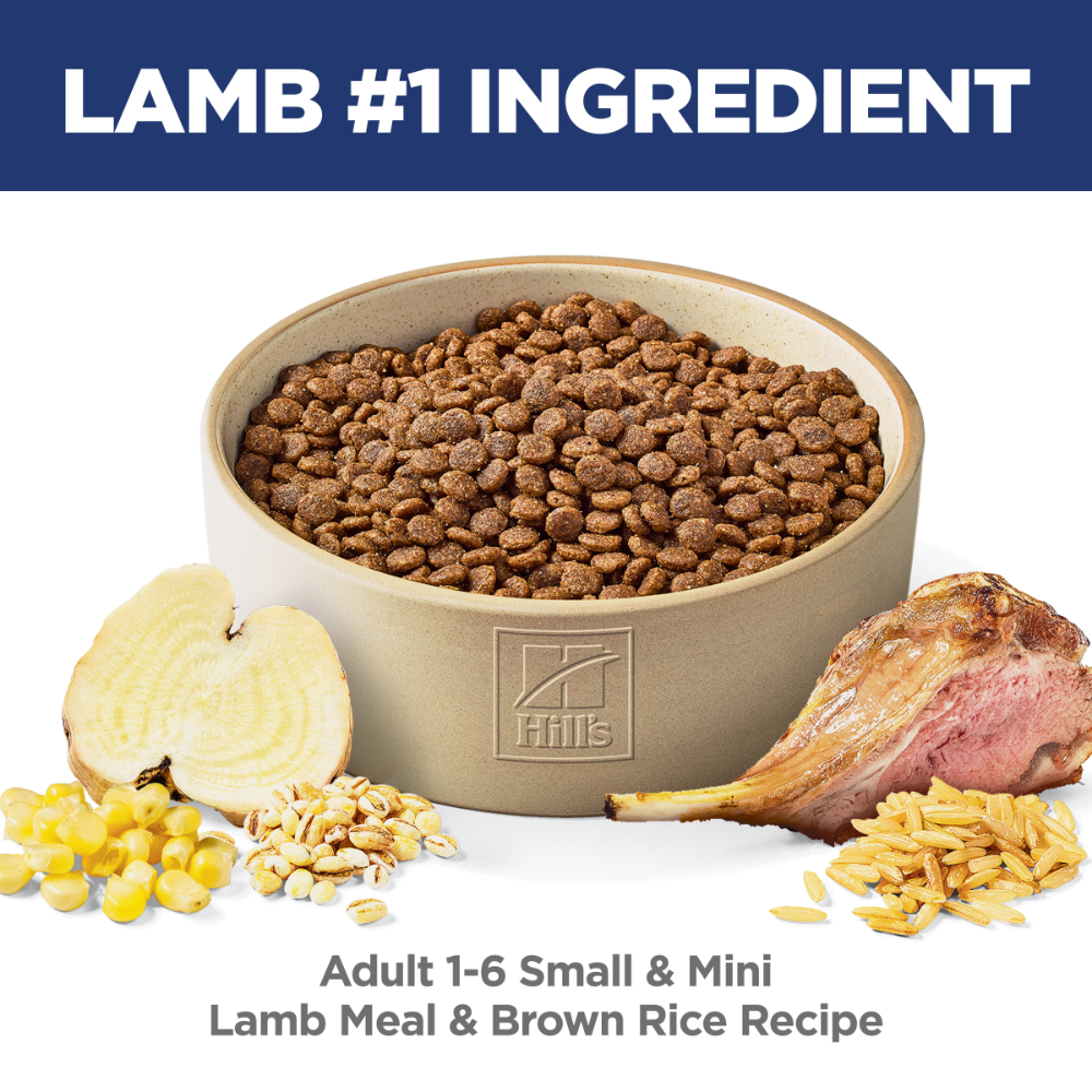 Lamb & Rice Small Mini Adult Dry Dog Food