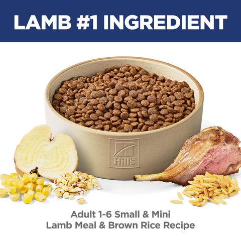 Lamb & Rice Small Mini Adult Dry Dog Food