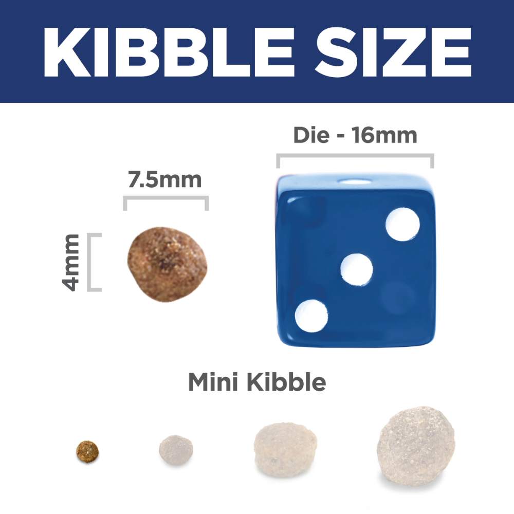 Lamb & Rice Small Mini Adult Dry Dog Food