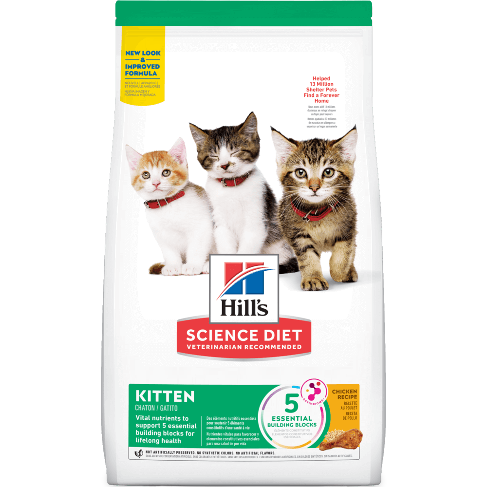 Kitten Dry Cat Food
