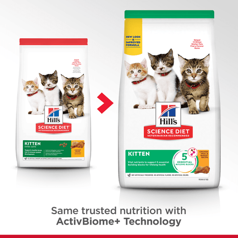 Kitten Dry Cat Food