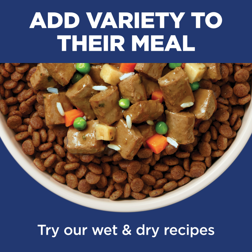 Lamb Meal & Brown Rice Large Breed Adult Dry Dog Food