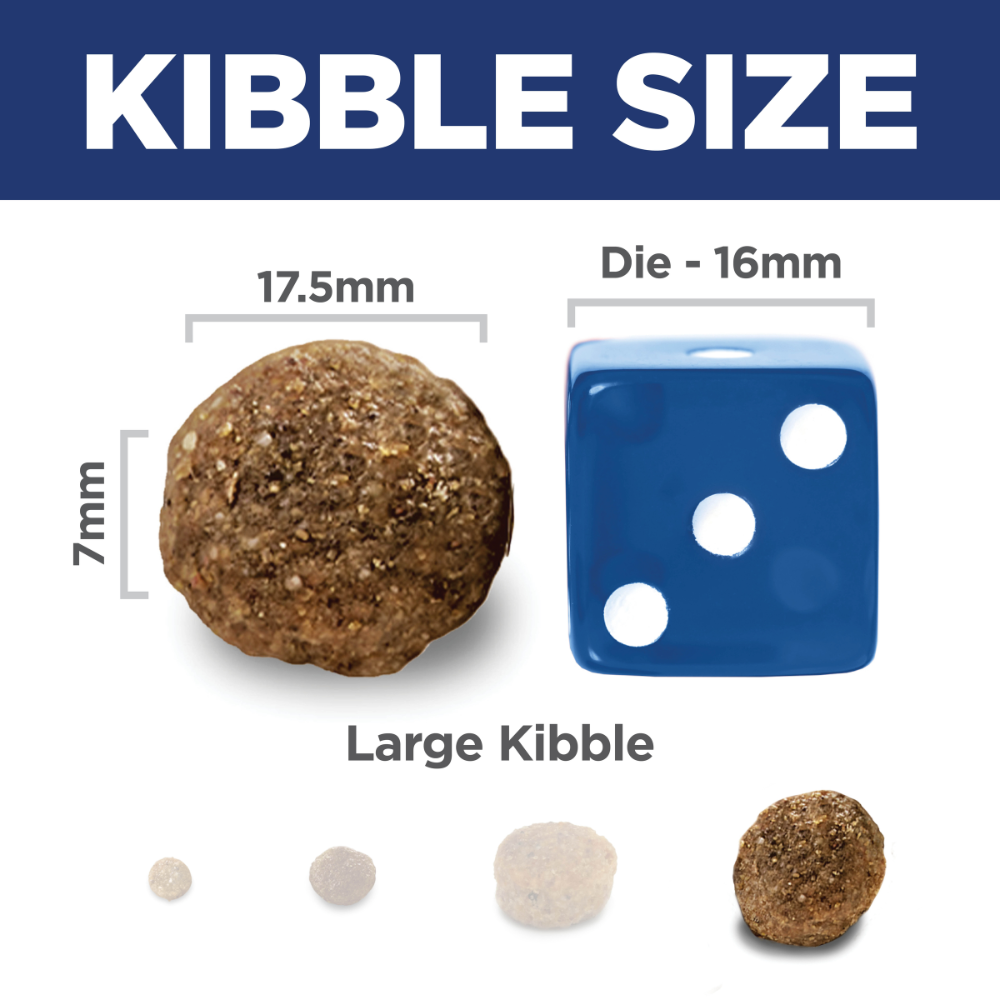 Lamb Meal & Brown Rice Large Breed Adult Dry Dog Food