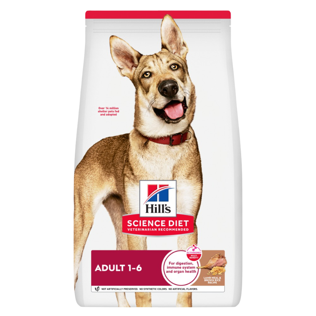 Lamb Meal & Brown Rice Adult Dry Dog Food