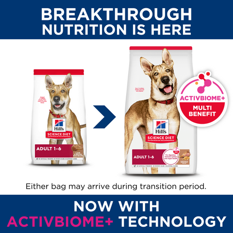 Lamb Meal & Brown Rice Adult Dry Dog Food