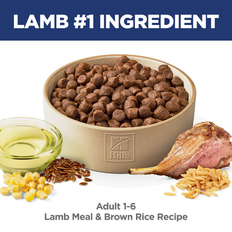 Lamb Meal & Brown Rice Adult Dry Dog Food