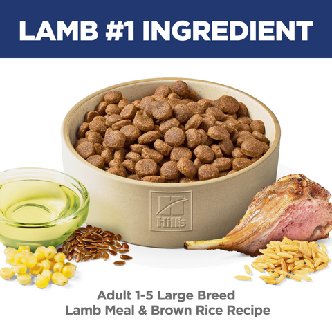 Lamb Meal & Brown Rice Large Breed Adult Dry Dog Food