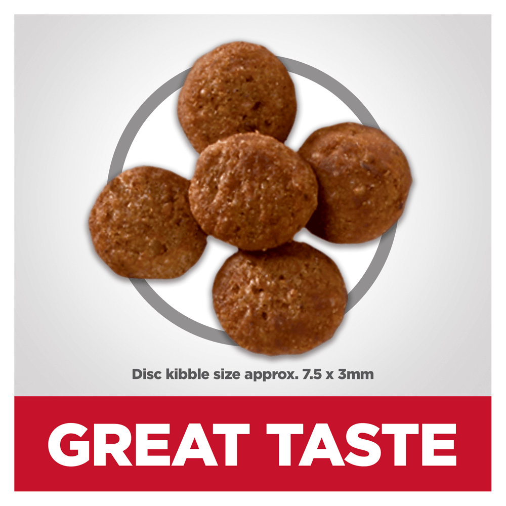 Perfect Weight Chicken Small Bites Adult Dry Dog Food