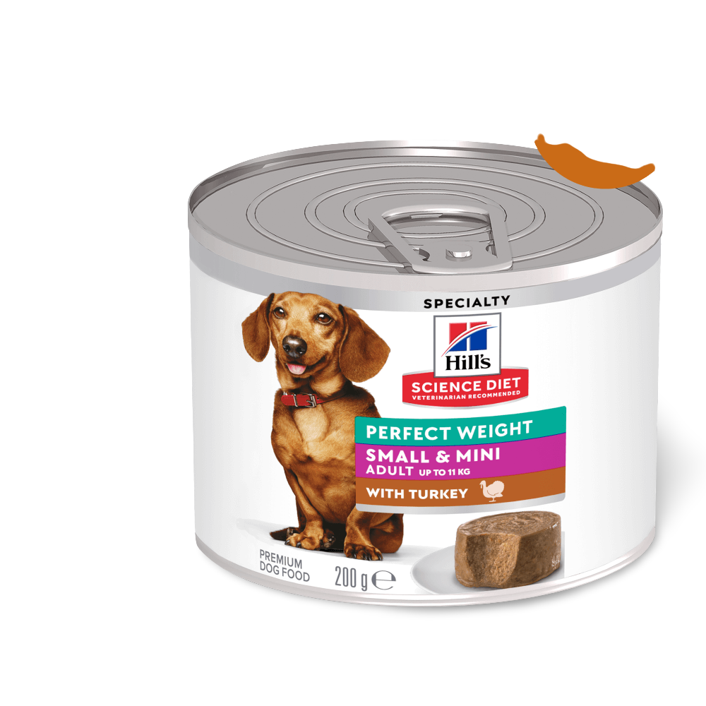 Perfect Weight Turkey Small Mini Adult Wet Dog Food
