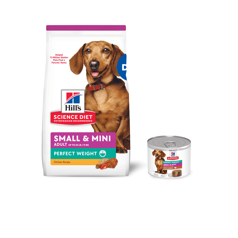 Perfect Weight Turkey Small Mini Adult Wet Dog Food